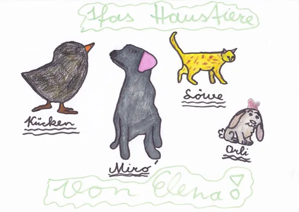 SchneckMeck Porträts